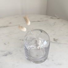 Load image into Gallery viewer, Mouth blown and handblown clear glass bud vase home decor bunny tails
